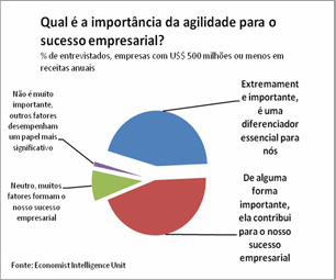 Importância da Agilidade no Sucesso das PME's